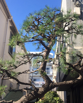 施工事例5
